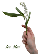 Muguet d&eacute;licat pour c&eacute;l&eacute;brer le 1er mai
